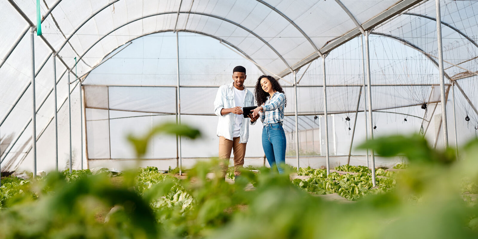 couple standing in greenhouse